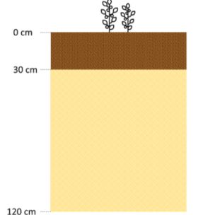 Foto soil humidity dry